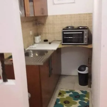 Milica Apartment Pozarevac