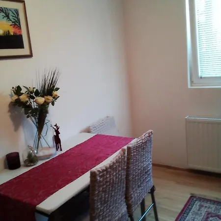 Milica Apartment *