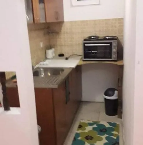 Milica 公寓 Požarevac